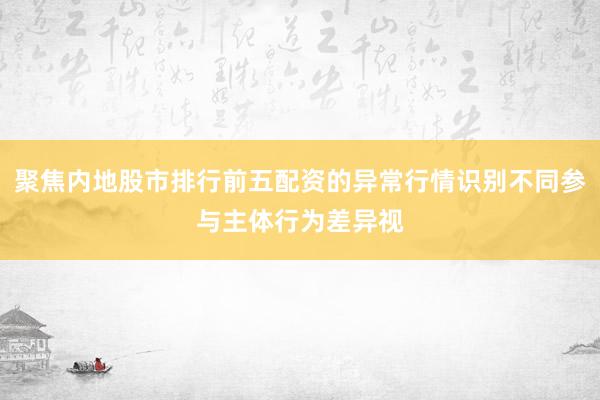 聚焦内地股市排行前五配资的异常行情识别不同参与主体行为差异视
