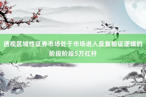 透视区域性证券市场处于市场进入反复验证逻辑的阶段阶段5万杠杆