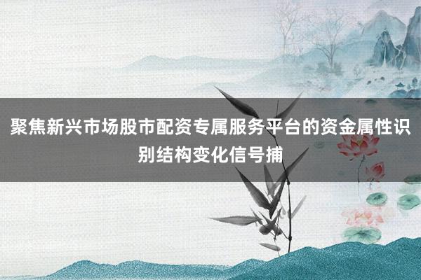聚焦新兴市场股市配资专属服务平台的资金属性识别结构变化信号捕